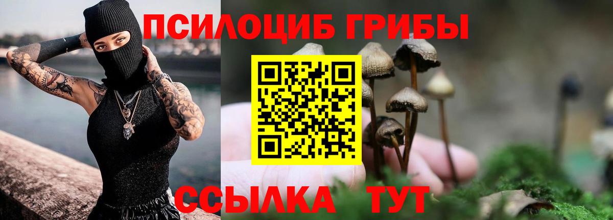 Старый Оскол  закладка  Вход с VPN  Галлюциногенные грибы мухоморы  Галлюциногенные грибы прущие грибы 